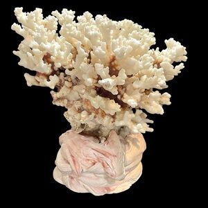 Vintage 1950s Natural Dried Coral Specimen Large Sculpture with Ceramic Base
